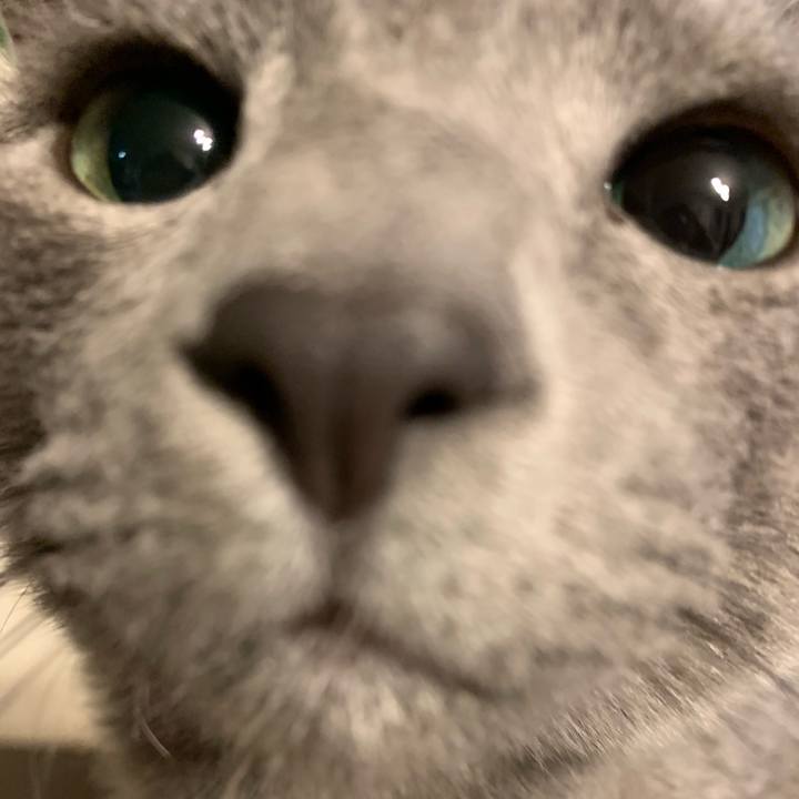 9d2d21fc a881 4b85 905c 1f047b06a860 1575707322249