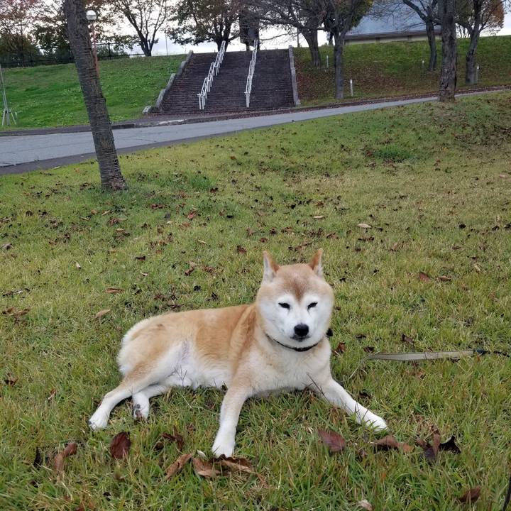 9d2d30cc 5506 4f9b 813d f1214fa208bf 1698735703655