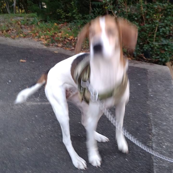 9d2d3a46 20ee 4ccd 963f 3f8677bc4753 1667058064775