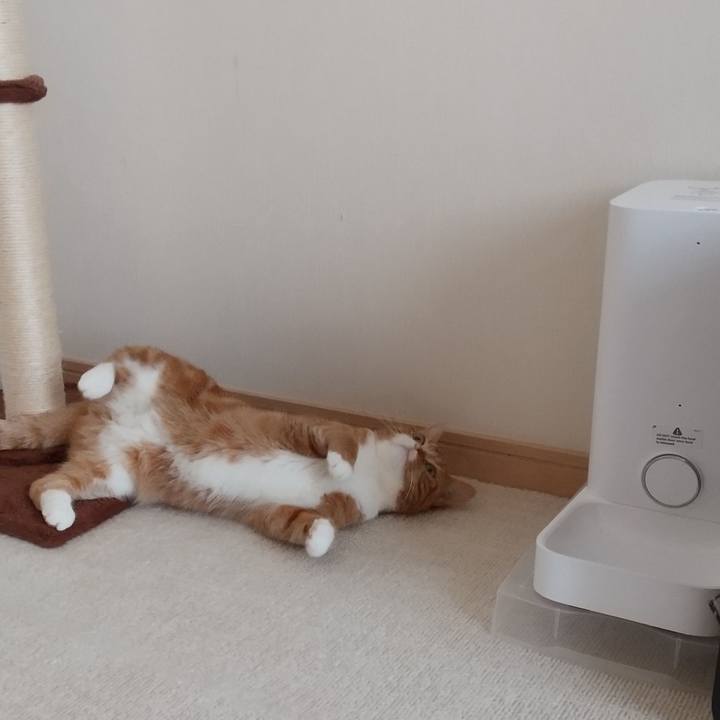 9d2d3b73 1f74 4447 857d 6d198b2e8956 1649814824672