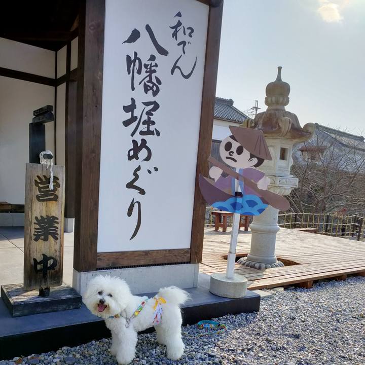 9d2d6ae7 27ff 4b95 a2b0 14990ce29877 1768810399203