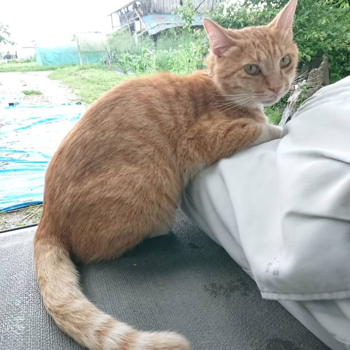 9d2da131 5ec3 4ac6 b053 e0f2cfc4b5a5 1594111526198