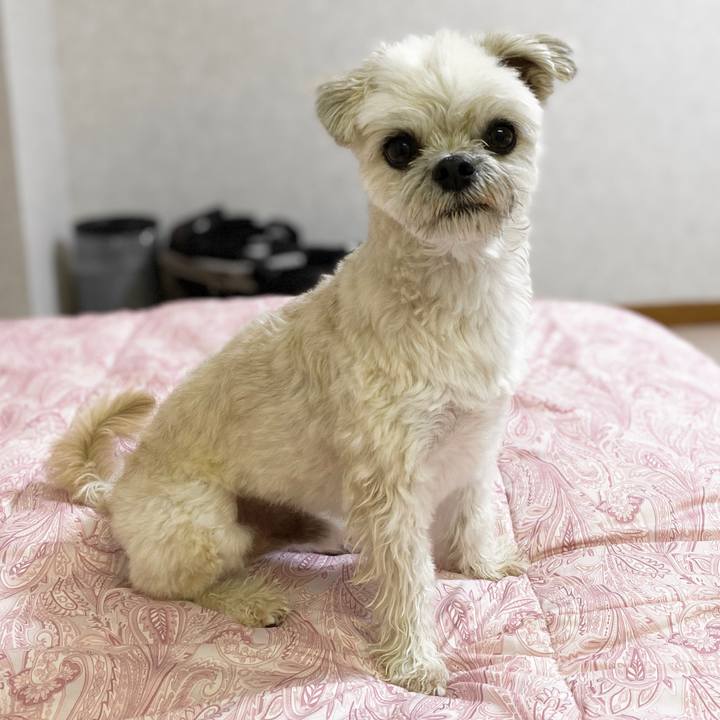 9d2da272 3dfd 45c9 8bb3 cec3aee25365 1574409303029