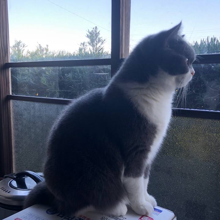 9d2dd35e 3fc4 41eb 856d 481529398453 1573867722089