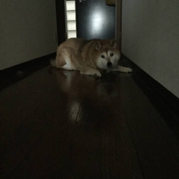 9d2e002a 1342 4c8e add0 79ce91657f33 1559084052837