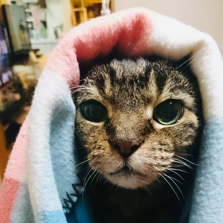 9d2e027b 537b 4dde bc88 dc982ced1f29 1764139135389