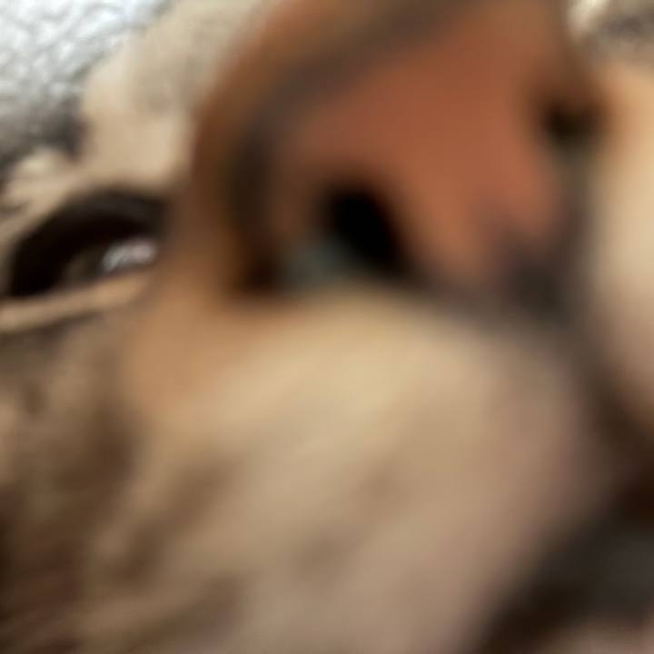 9d2e33ff 54b7 4d25 809f 3952b2bc5d93 1748140991615