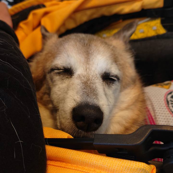 9d2e5e80 051f 4627 a44f 500a5d294adc 1719124989361