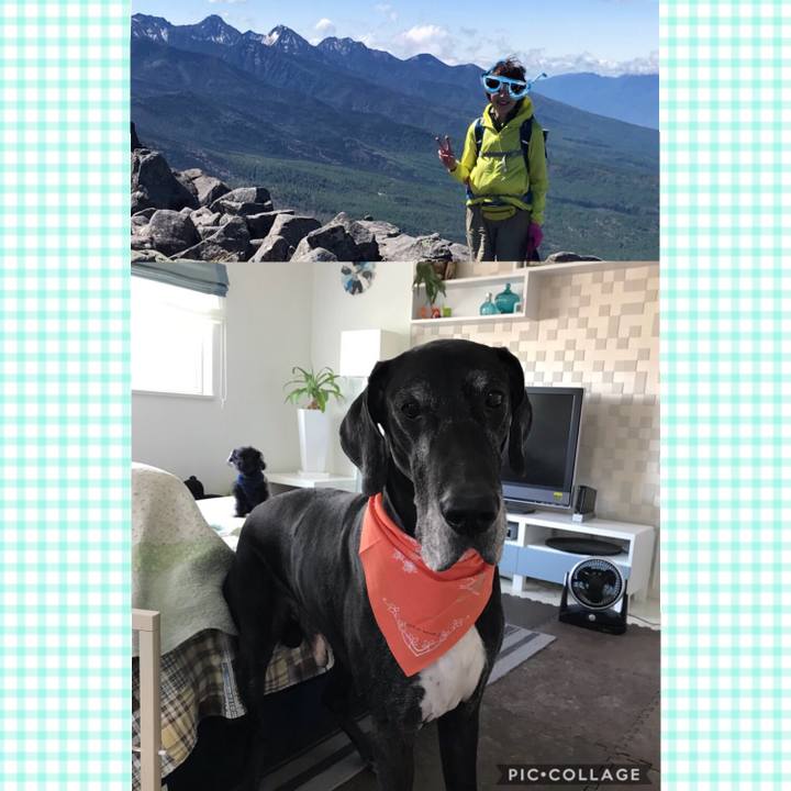 9d2e6be1 1652 404f b83e d9b63e8f4181 1526796896081