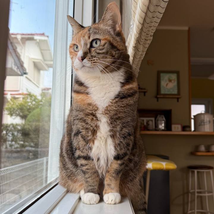 9d2e6fb3 3128 440f 87ca 46e6fbe046fd 1774480271347