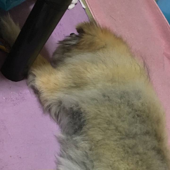 9d2e804b 95fa 4ffc 8e6d aa9386ef11aa 1596499058463