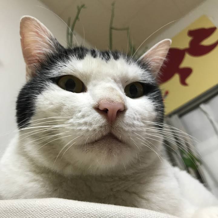 9d2e8958 8619 4088 b40e d4c500e4e02a 1592771716459