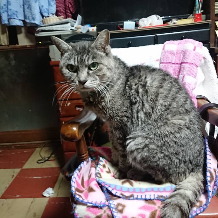 9d2e90f6 74a4 47fa 8707 c0a6824838eb 1576094716361