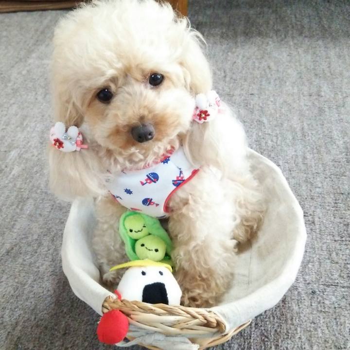 9d2eaf57 9835 4c45 bb4f 2c59eb181ef8 1528888292958