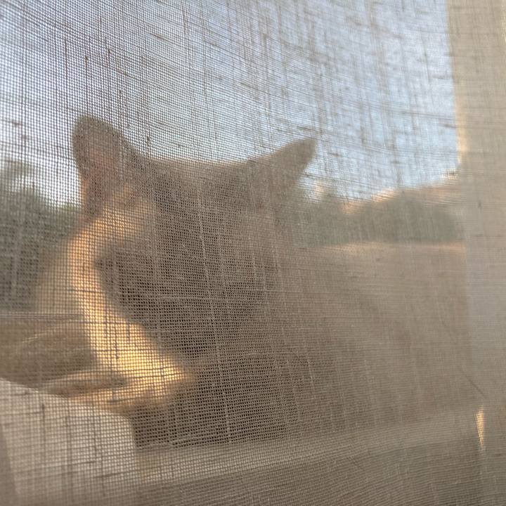 9d2f2bb5 bb4e 4e0f b5ff aa266de17baf 1723708360098