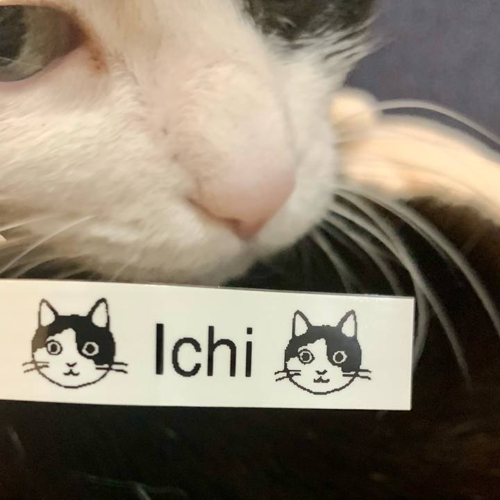 9d2f7c30 ac2f 49d5 ab72 85fc44c6556c 1709809489468