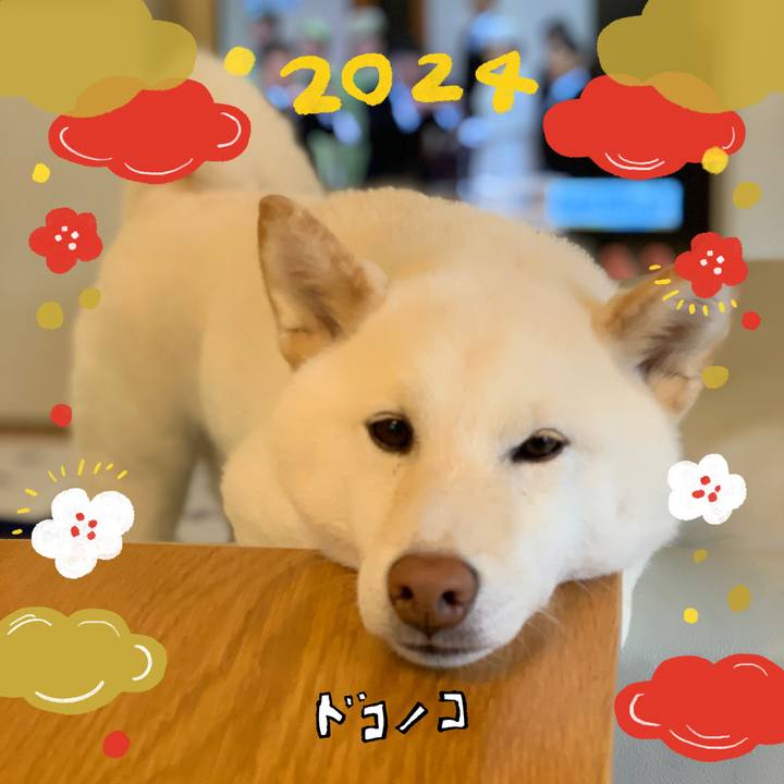 9d2fa35c 967a 4ae6 9274 aab91682b464 1704624069553