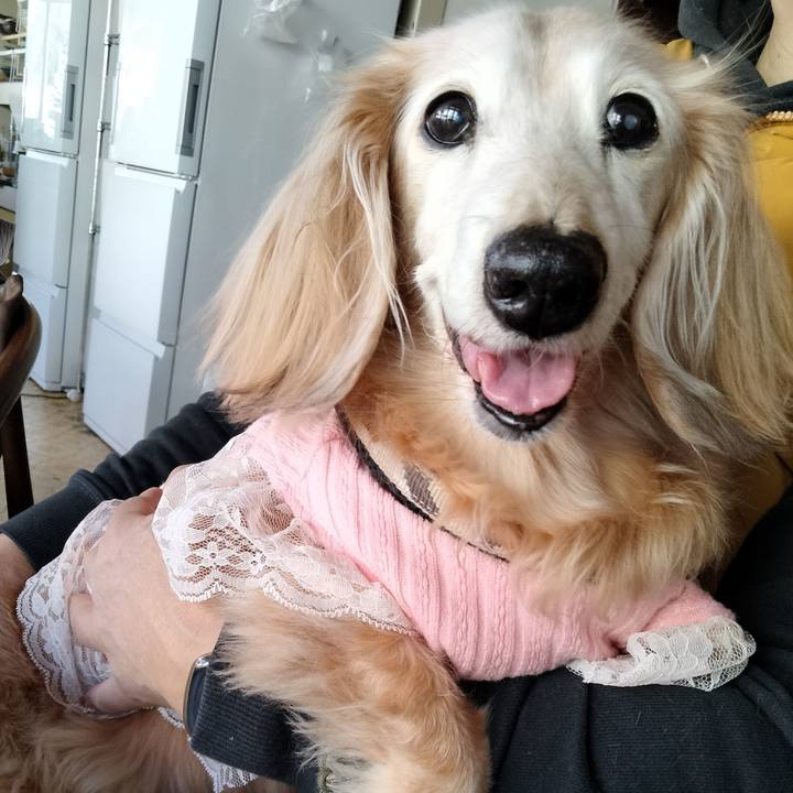 9d2fe54a 6c1b 4f6a 992c c1f96fd6f006 1771166366661