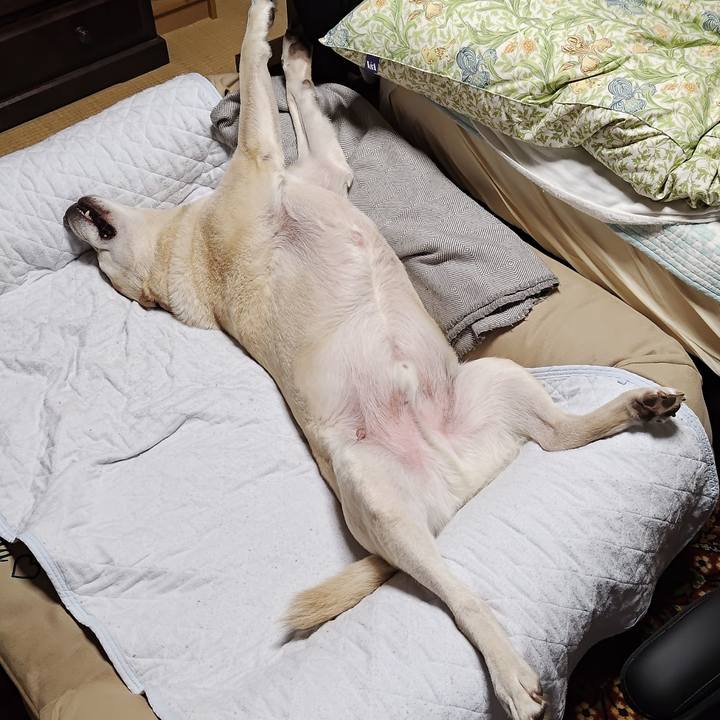 9d30665a e2cf 4ce7 b5d5 2698701696c3 1760540769704