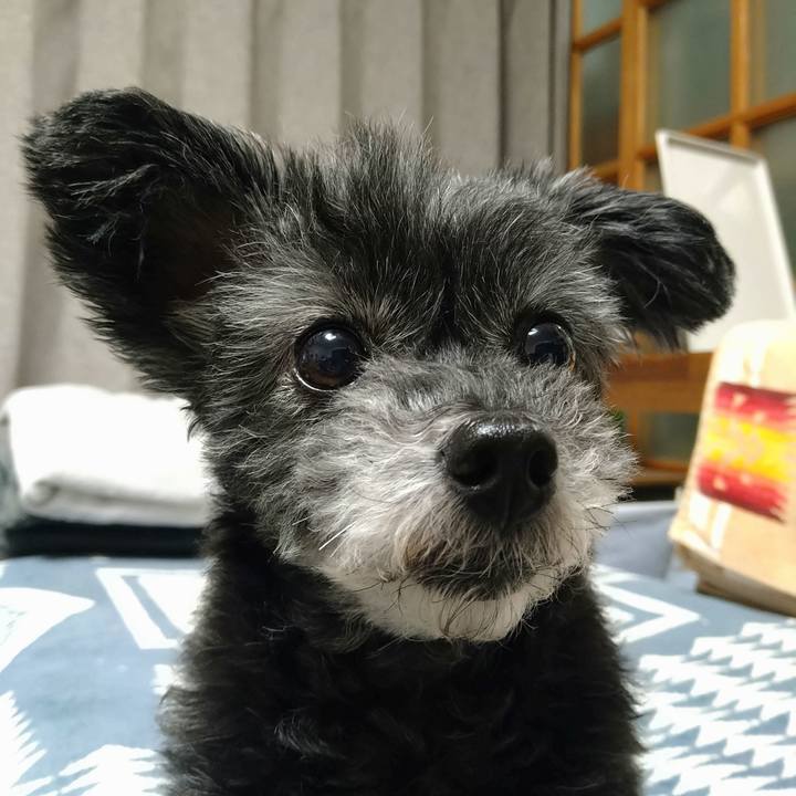 9d30758e 852b 445f b00f b1a4842a59e1 1729871768708