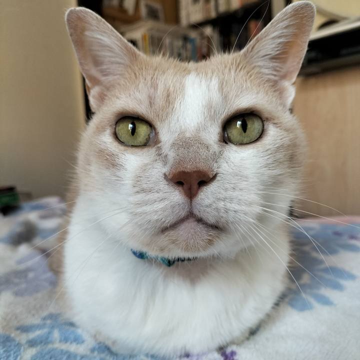 9d3092e4 a06a 417a b73e e2883420a55f 1653721463840