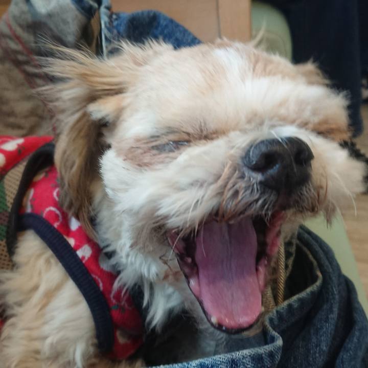 9d30f762 8c3e 4568 982a 52eca8beb27d 1511014294593