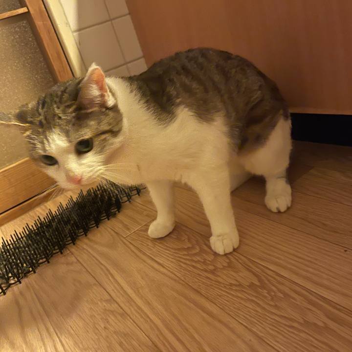 9d30fd3b 6e4b 4ea5 8b55 6380f0cc4e43 1631355120818