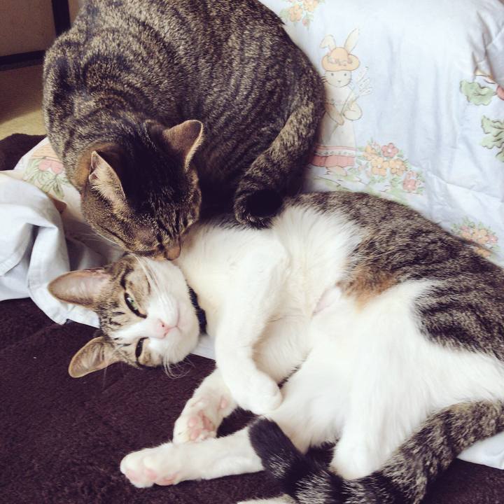 9d311d00 0f49 4afa b7d0 2fa337006a24 1514348234338