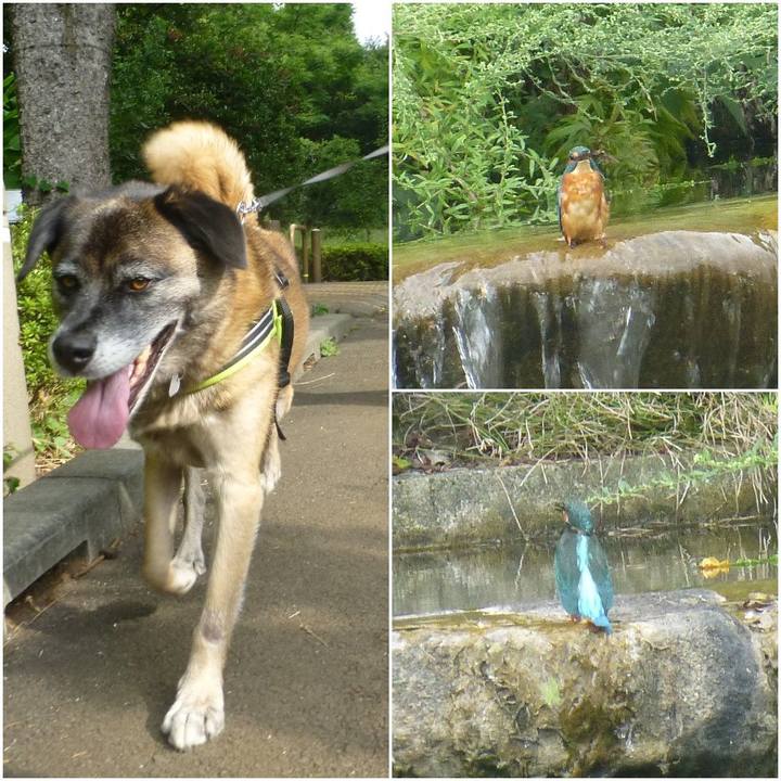 9d3126d8 95a4 4cf0 a9d4 c1334e3db8e9 1580438385774