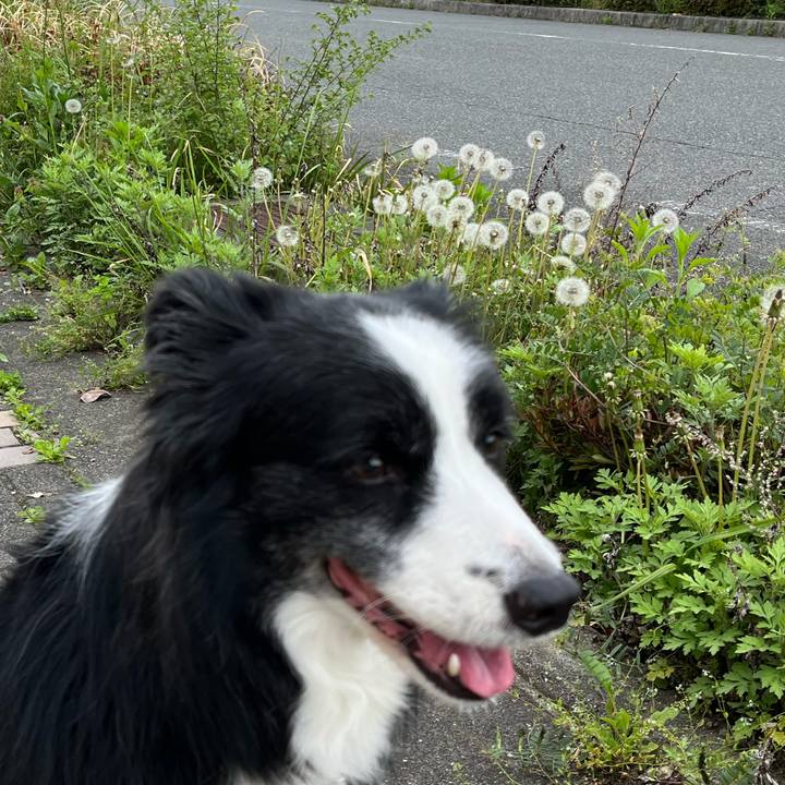 9d316507 aefc 46a2 a19b 852f75555700 1776607422874