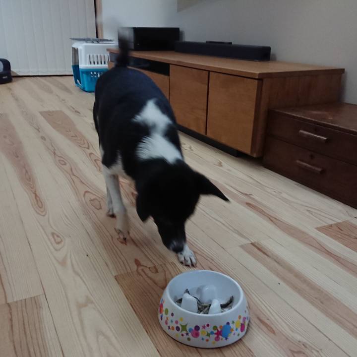 9d318988 780d 4bea a928 10d27dc0cc0c 1574170464381