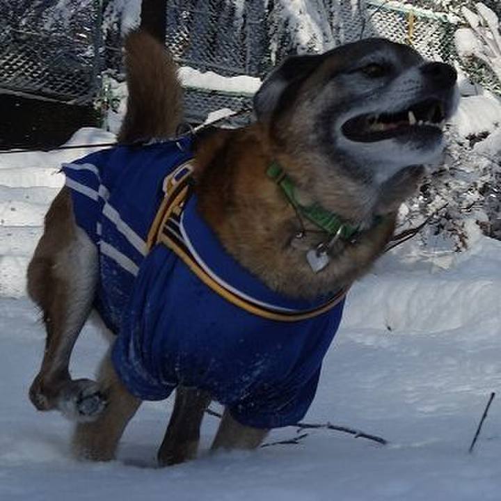 9d31b9b6 d63d 4953 ade1 0e0636e4e63b 1516678665218