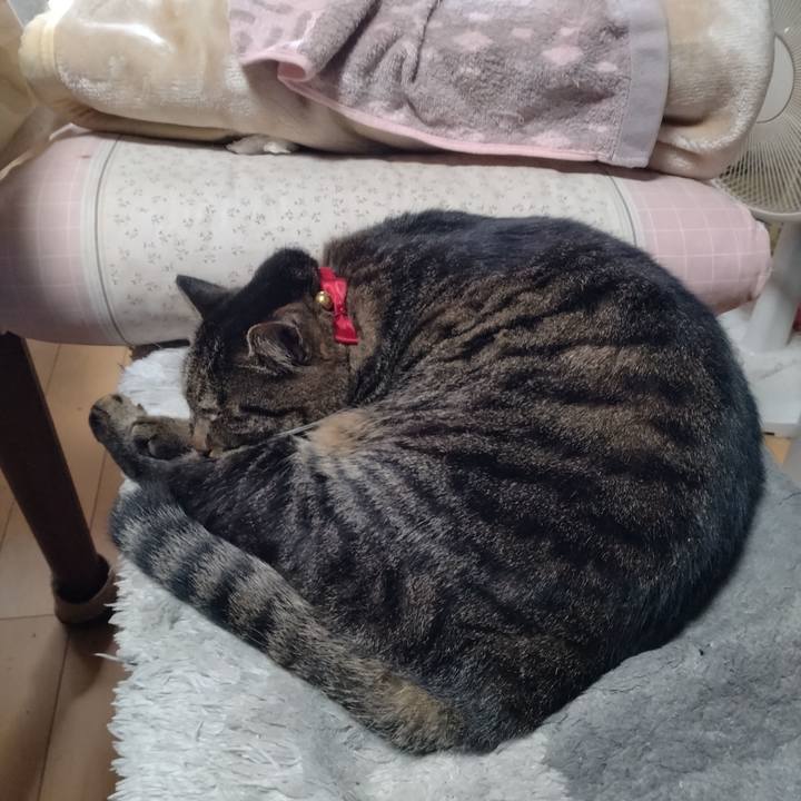 9d31cdf4 8313 4257 aa1c 61fe76a2492d 1670116935316