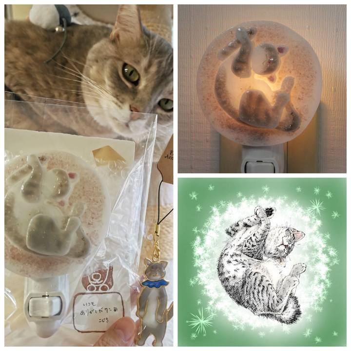 9d322d3a 22f6 40d9 8460 4d37bad5aebf 1636949618079