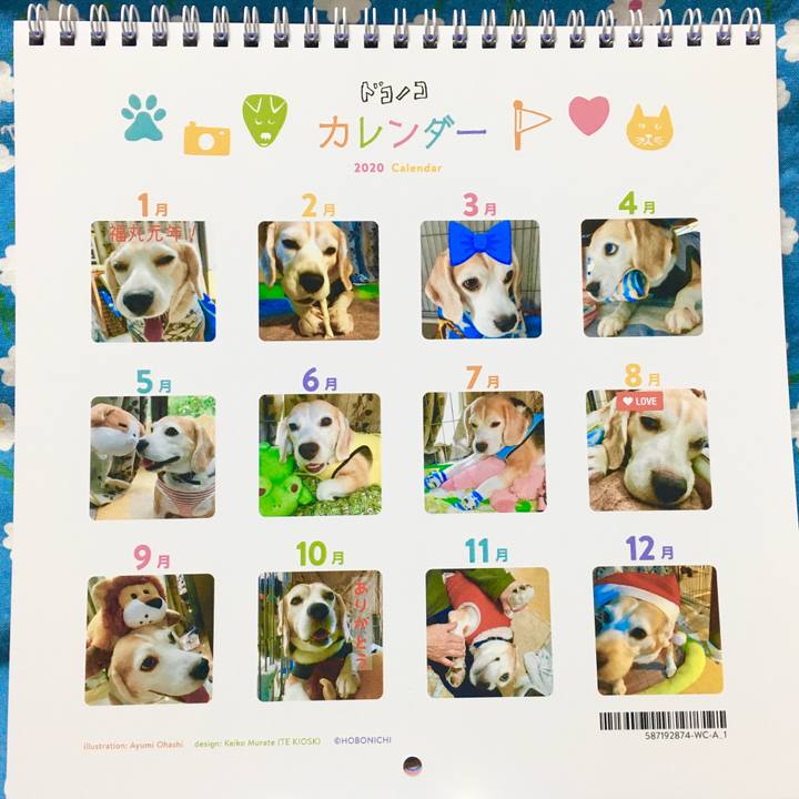 9d322d3f 60bc 4e7a a128 f899a93d62db 1575174679889