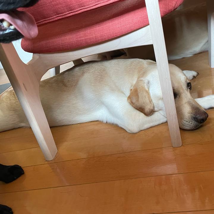 9d326e0c 672e 4dbe ac8b 5dc5579746f7 1653392604300