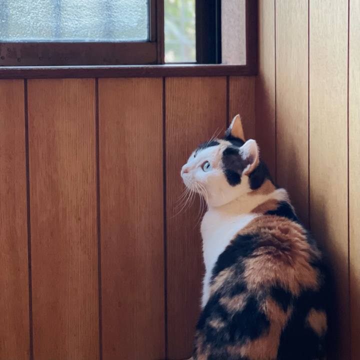 9d327e21 d126 434f 93c3 49de3913e240 1646534431007