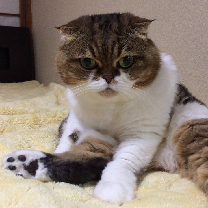 9d32bae7 917b 4368 ba56 79042d546fe2 1508671396491