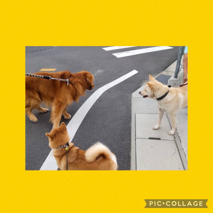 9d331e24 7735 41f7 8b21 de48af4b6c1c 1694299670905