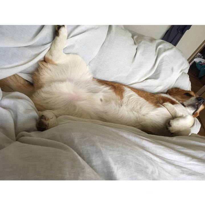 9d3323b2 a168 4161 b363 e8b205f68ace 1620441127534