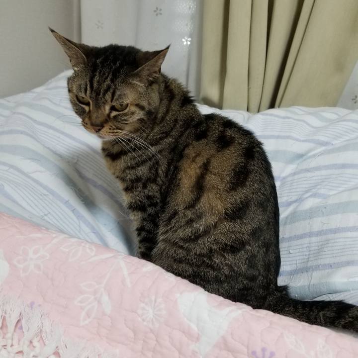 9d33262a 1c5b 43ea b37c b91ac03bc172 1615325232017