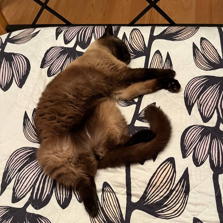 9d332cbe 6921 40cc 8861 3ccd78e8f87f 1687176851788