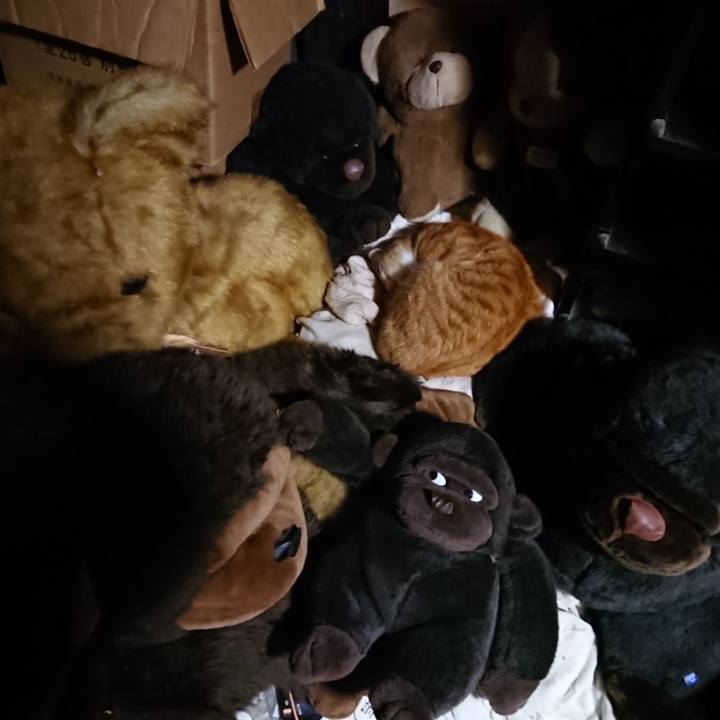 9d334b63 83e8 40c0 8083 f3ca285f1288 1607686323370