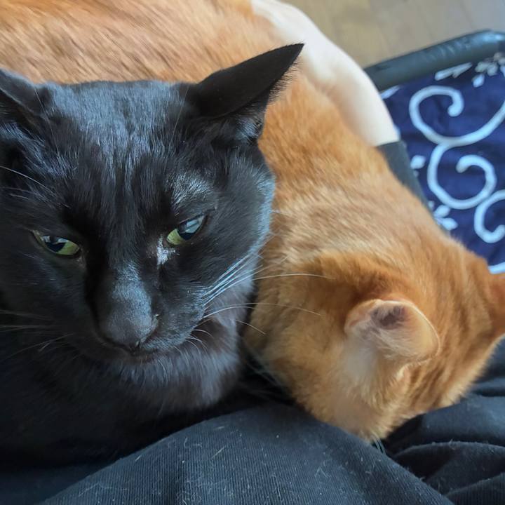 9d3360b9 b3b5 4b4d b075 a380d79f251e 1767750004745