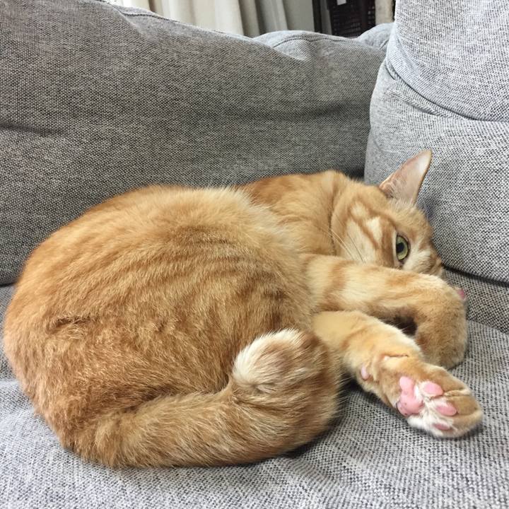 9d338a0b 928c 41d9 ac48 fee21faf5cdf 1540604122493