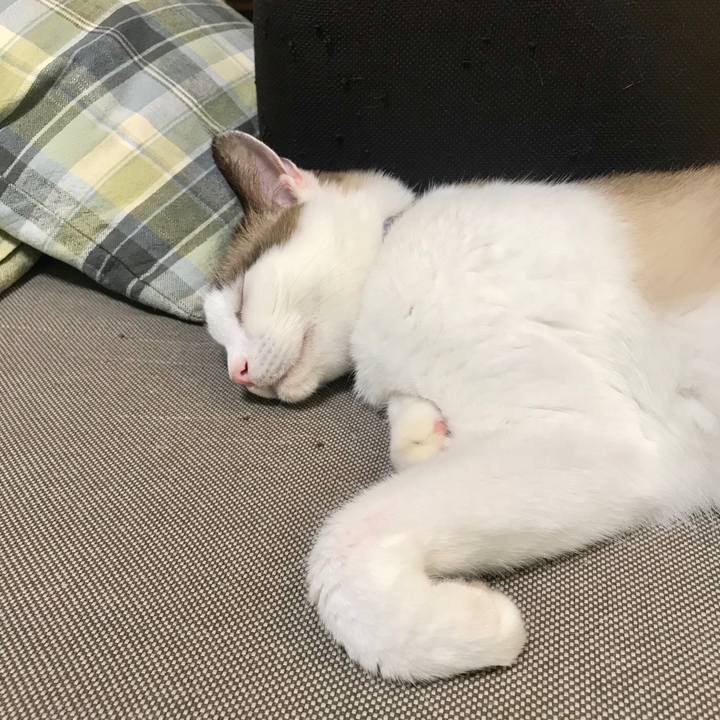 9d33ecf3 a869 4bcd 8fa6 28e8de42e649 1600596604373