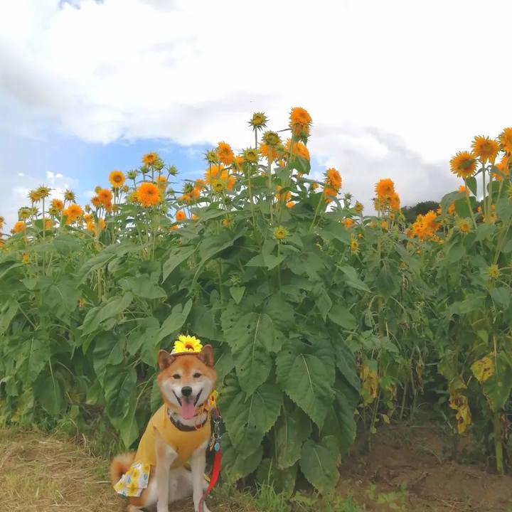 9d343de8 b13d 4eea 845c 9b7054f3079f 1693117939979