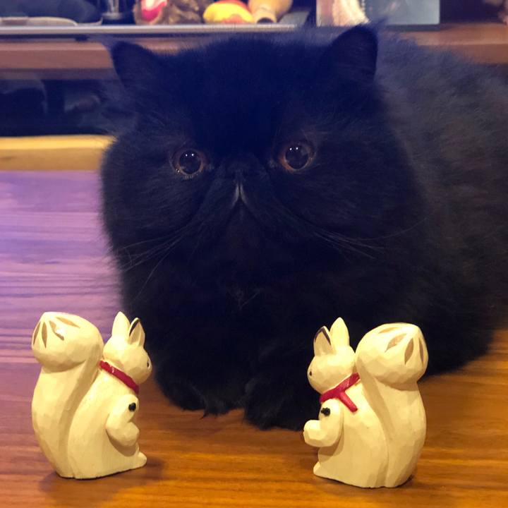 9d3486e7 c25d 4511 8411 0b070543e907 1573304571441