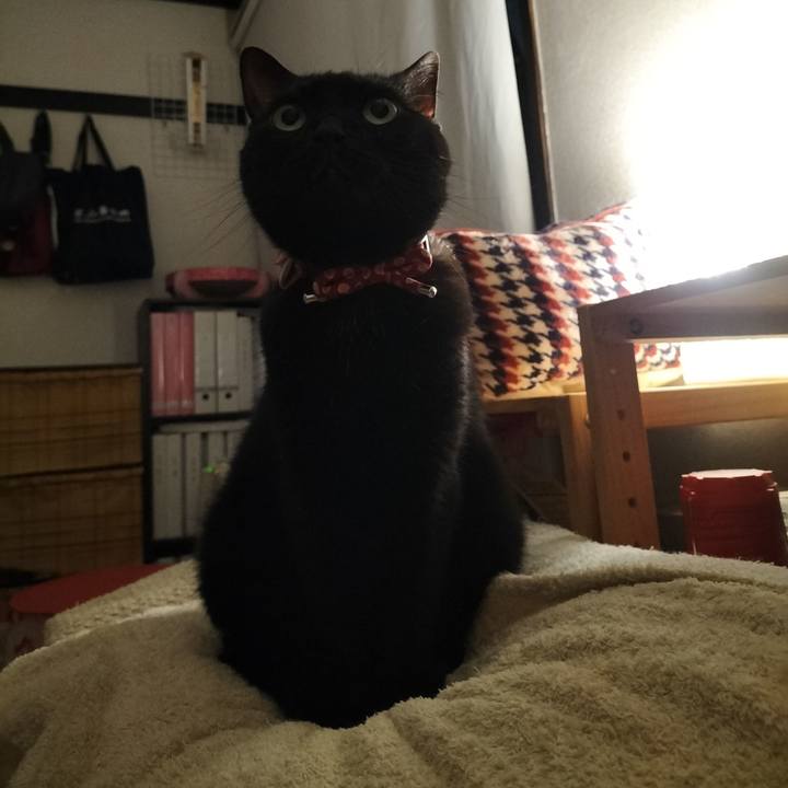 9d34f452 be6f 410b 970b d6268efb291c 1650545494816