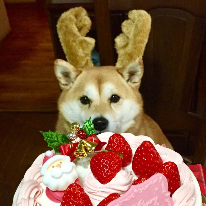 9d350547 df6a 4c85 b137 8f428871654f 1514191790244